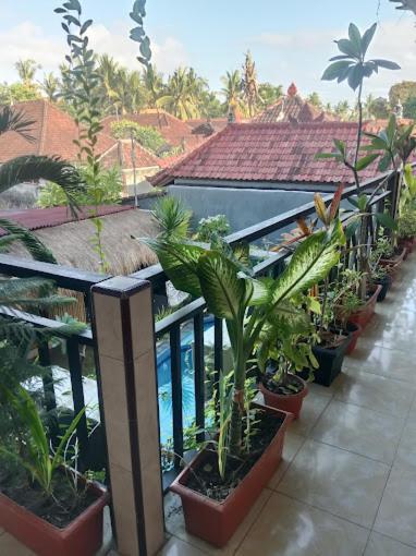 Grace Paradise Guest House Lembongan Exteriör bild