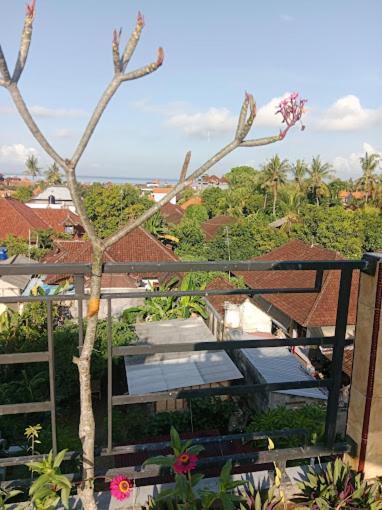 Grace Paradise Guest House Lembongan Exteriör bild